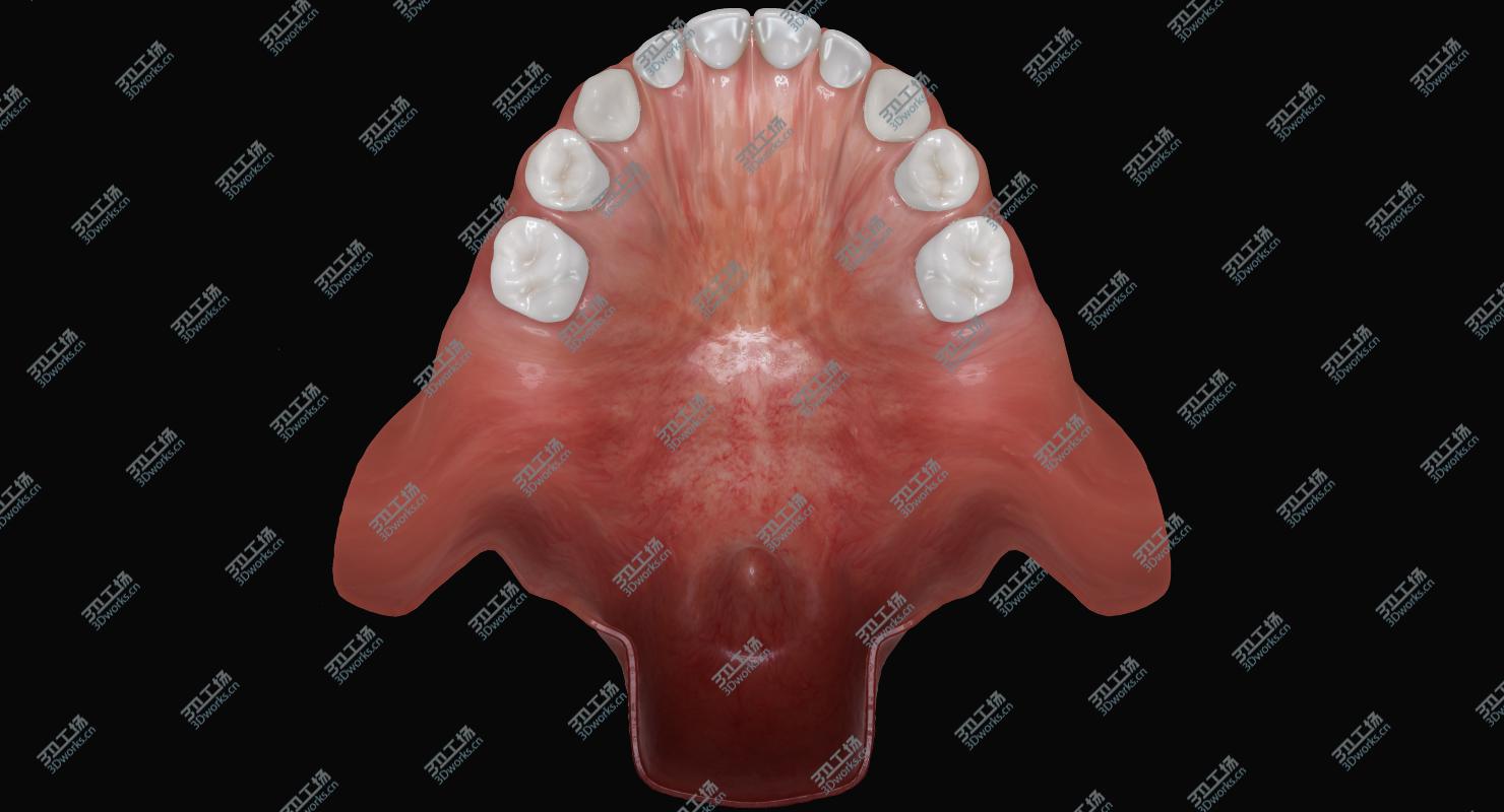 images/goods_img/2021040161/Primary Mouth/5.jpg